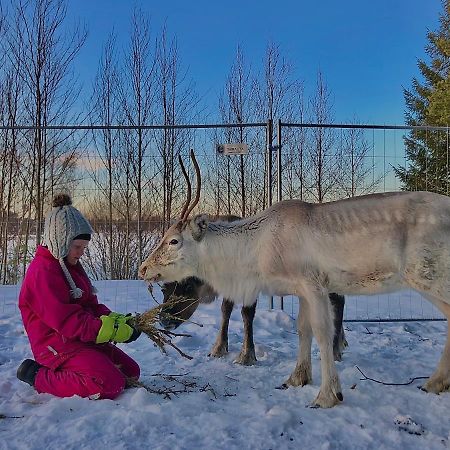 Beautiful Rural Experience With Reindeer Villa Tervola Luaran gambar