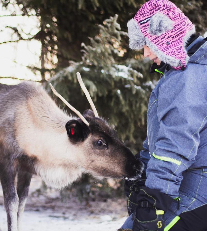 Beautiful Rural Experience With Reindeer Villa Tervola Luaran gambar