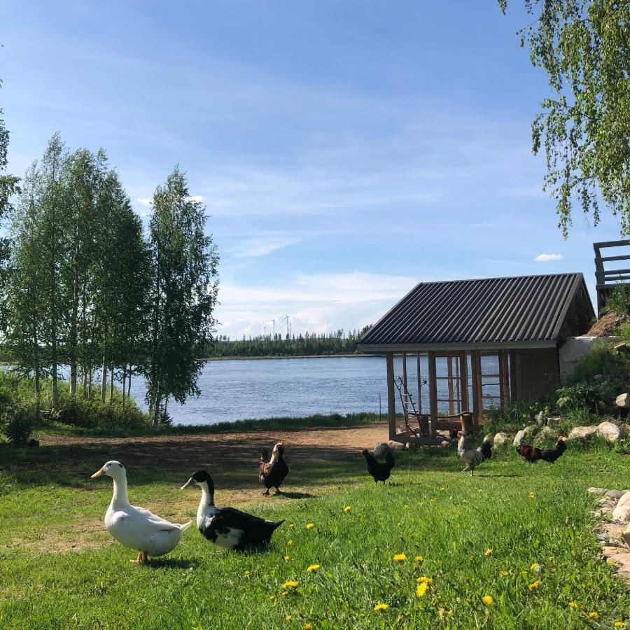 Beautiful Rural Experience With Reindeer Villa Tervola Luaran gambar