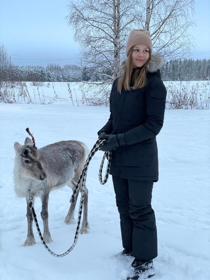 Beautiful Rural Experience With Reindeer Villa Tervola Luaran gambar