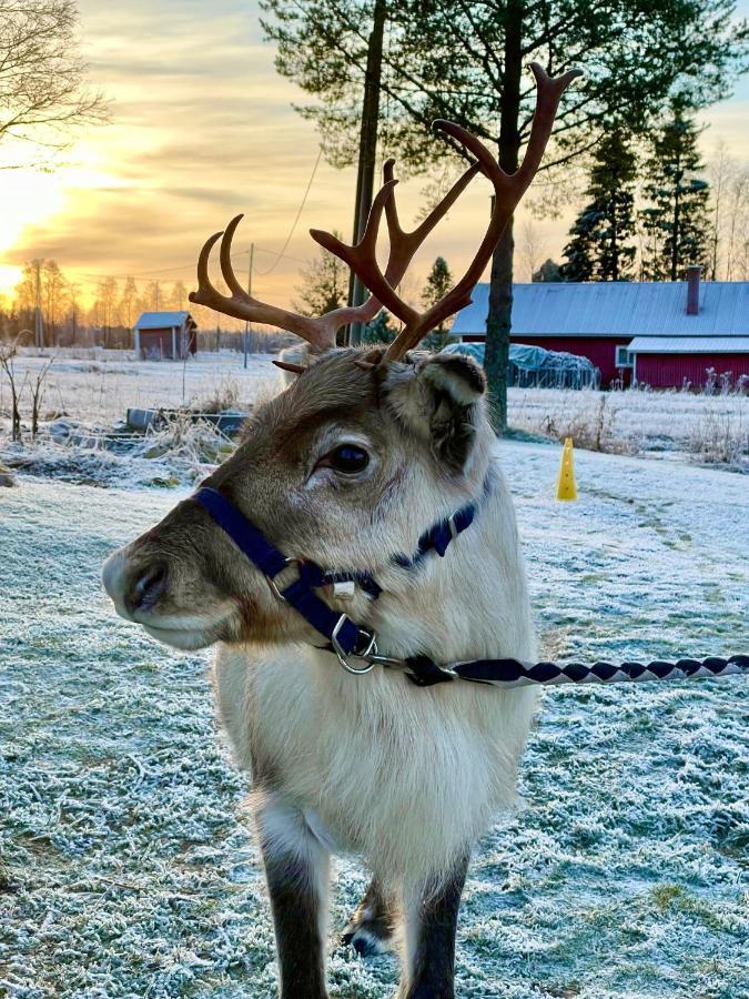 Beautiful Rural Experience With Reindeer Villa Tervola Luaran gambar