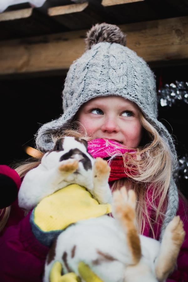 Beautiful Rural Experience With Reindeer Villa Tervola Luaran gambar